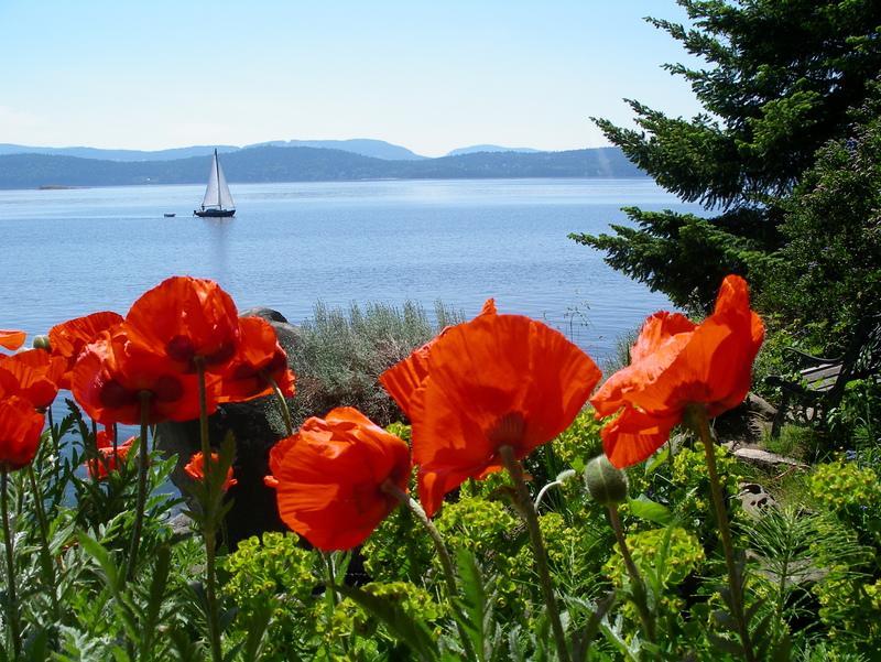 Serenity By The Sea Retreats Montague Harbour Exterior foto